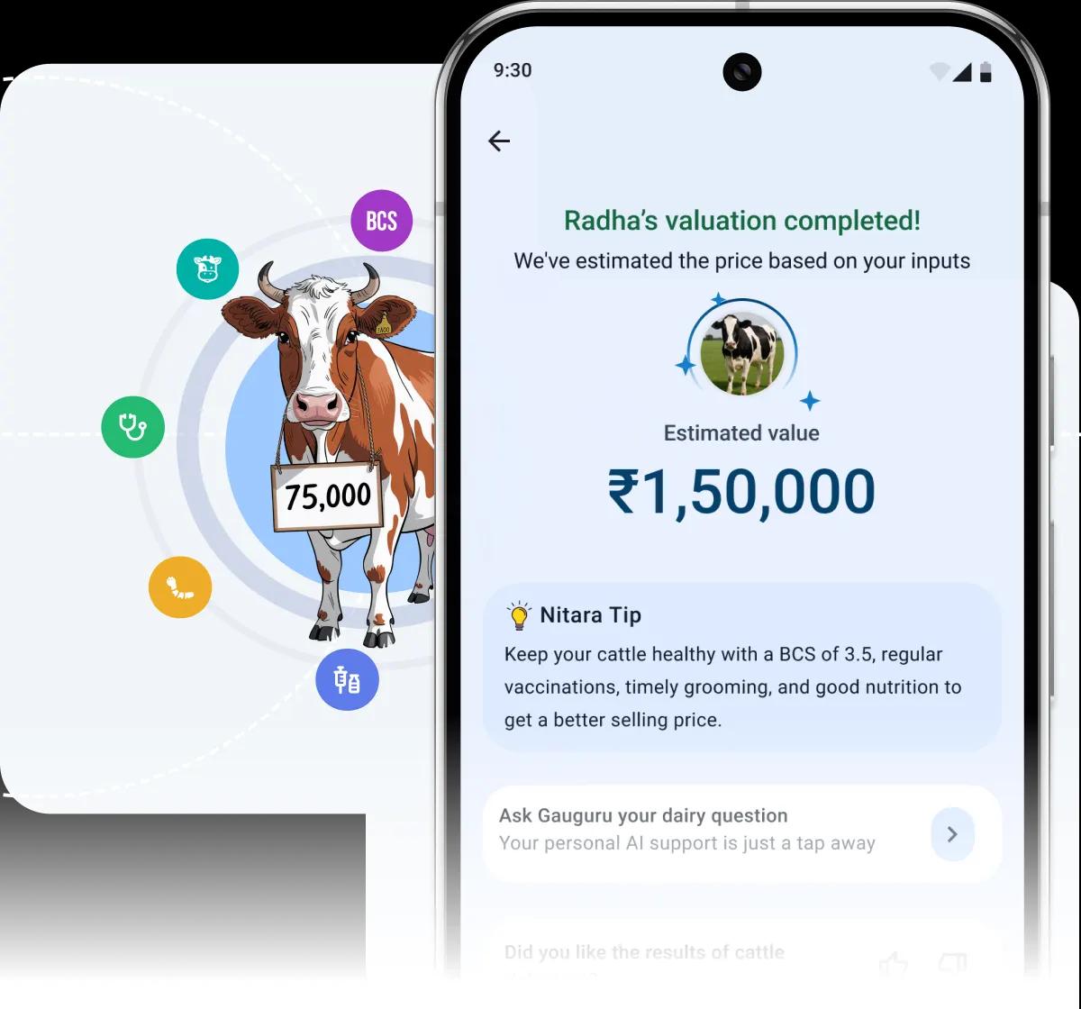 Cattle Valuation Tool